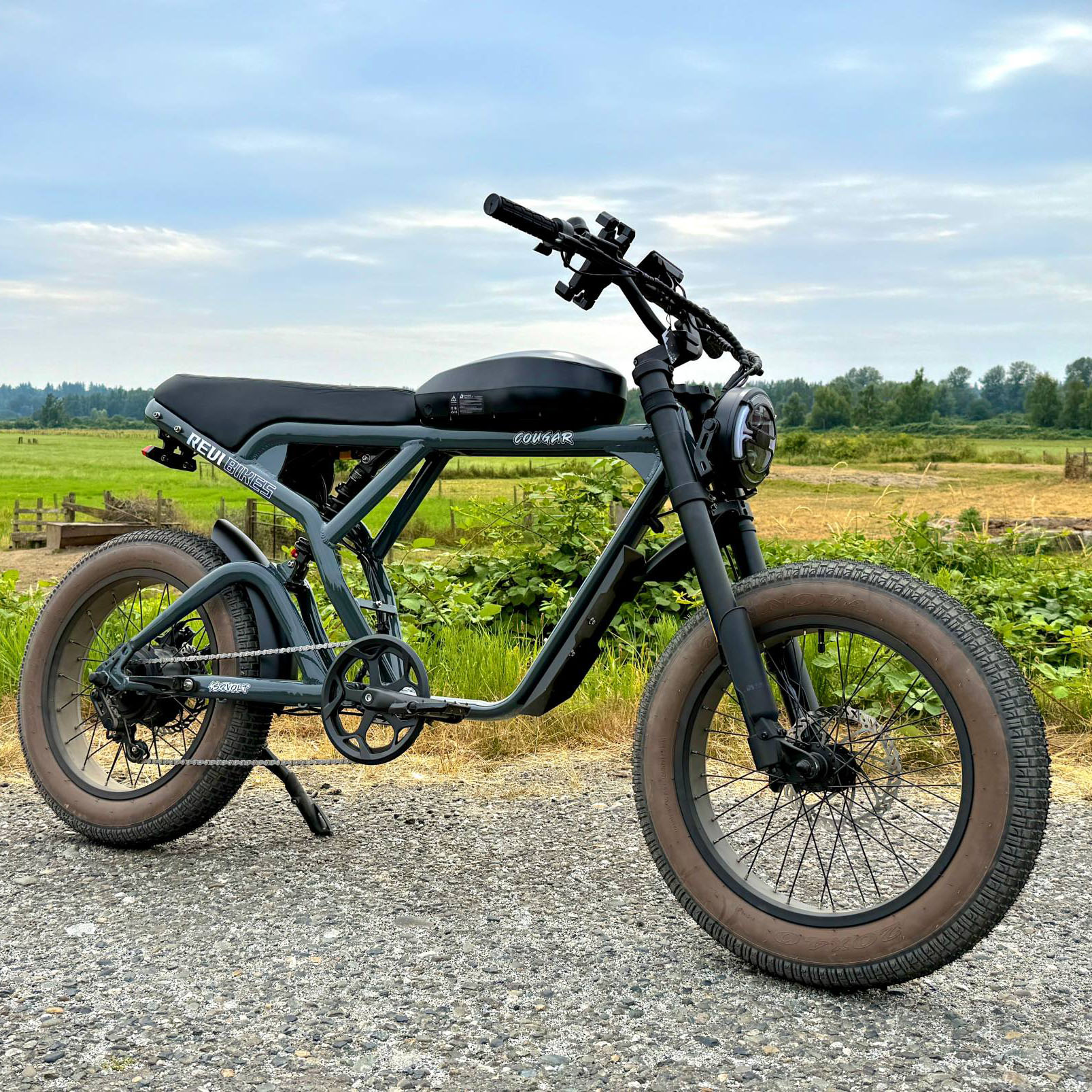 Mountain Biking Sport - OEM Super Electric Mountain Bike 1000W