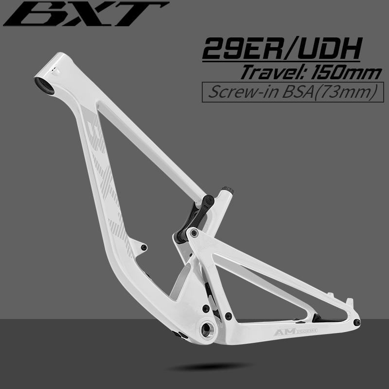 BXT-117 Carbon Suspension Bicy - Mountain Biking Jumps review and price