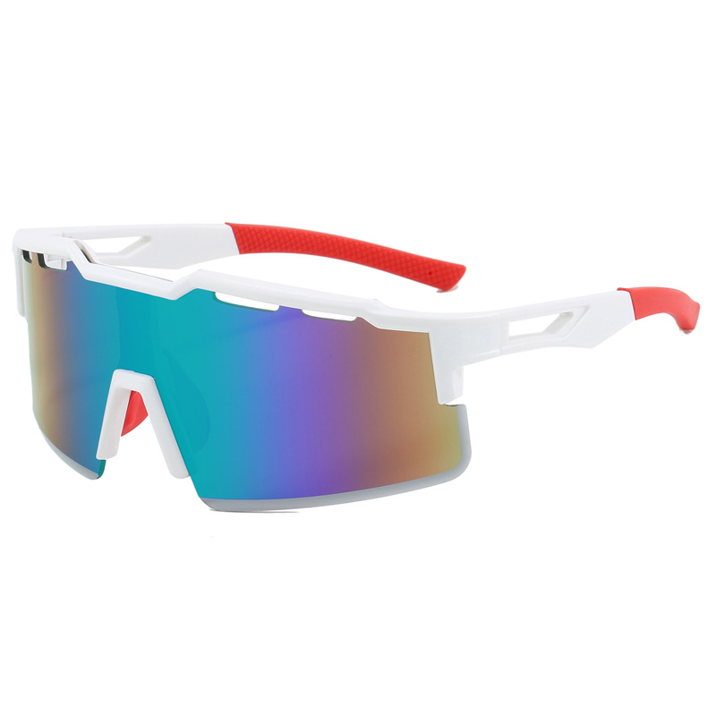 Biking Protective Sunglasses,  - Mountain Biking Essentials review and price